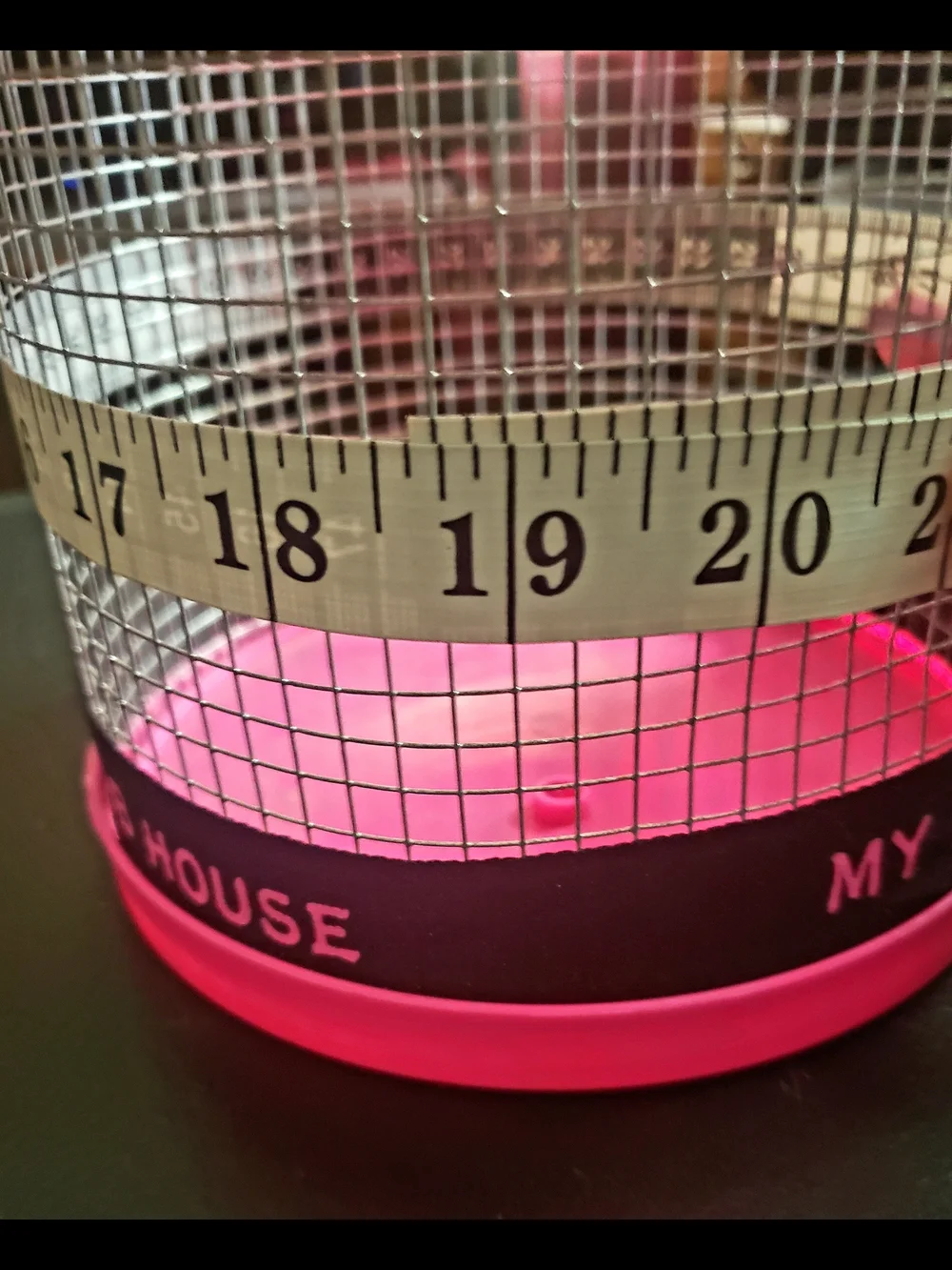 Pink Small Pet Temporary Habitat Cage - My Hermit House